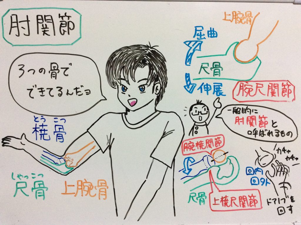肘関節